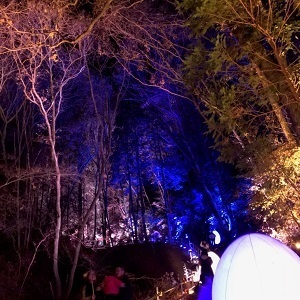 190130_1.jpg