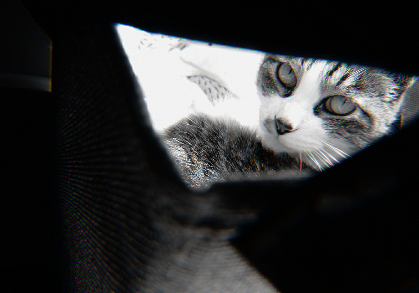 無題304_20210411213431.png